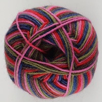 WYS - Signature 4 Ply - Zandra Rhodes Collection - 1026 Forest Stripes